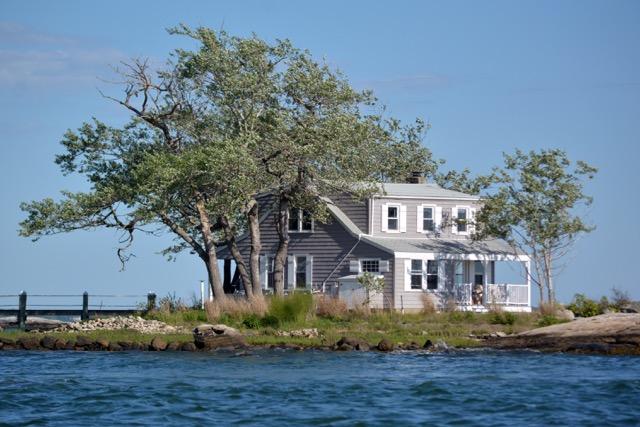 Mouse Island image