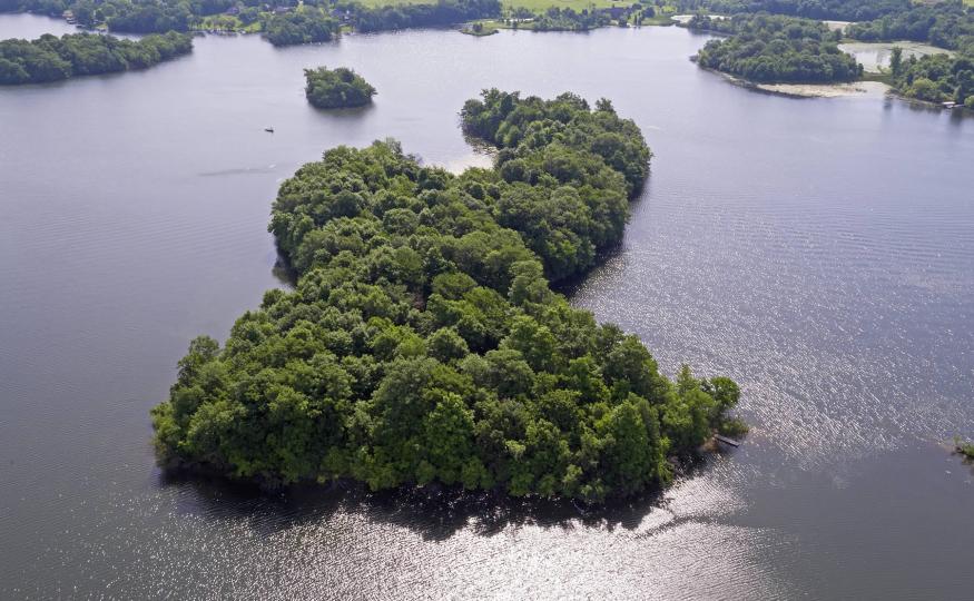 O'Dowd Island image
