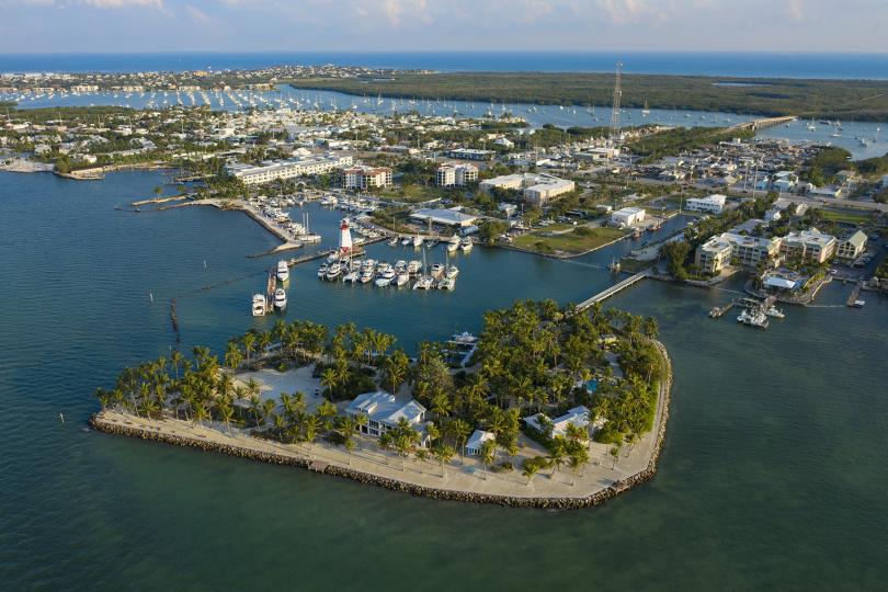 Palm Island image