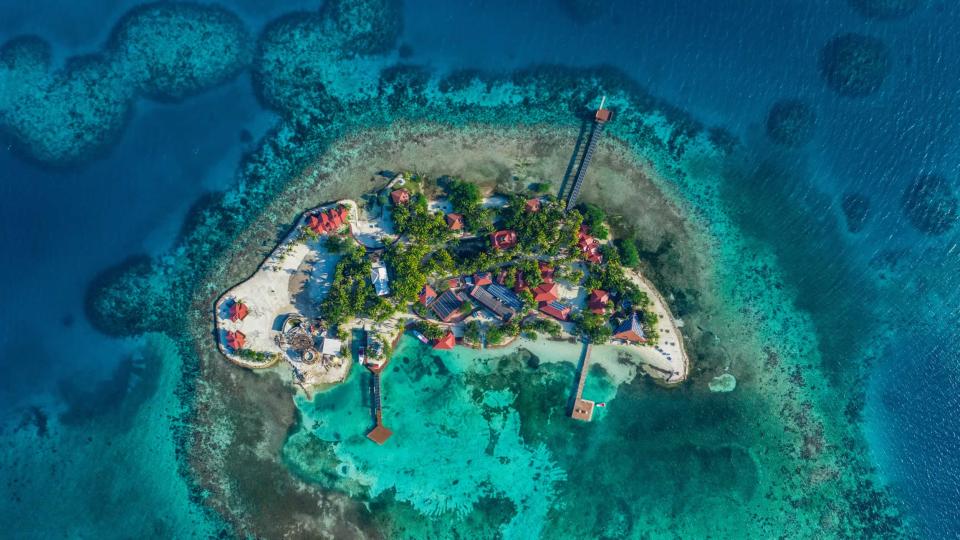Ray Caye image