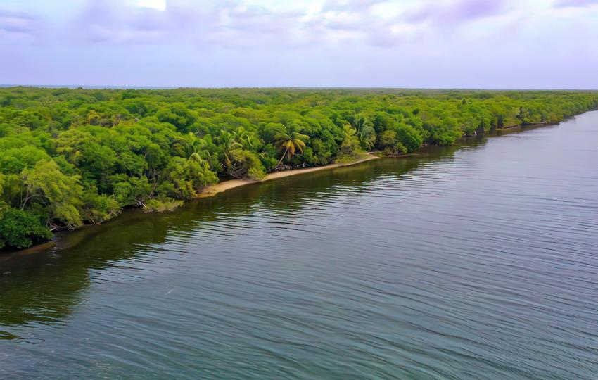 Turneffe West Property, 25.09 Acres – Private island in Belize, Central America