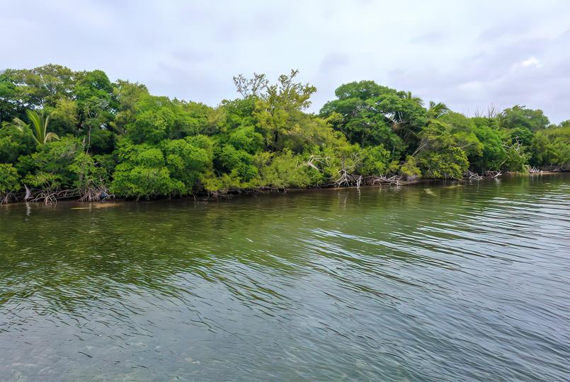 Turneffe Island West Parcel – Private island in Belize, Central America