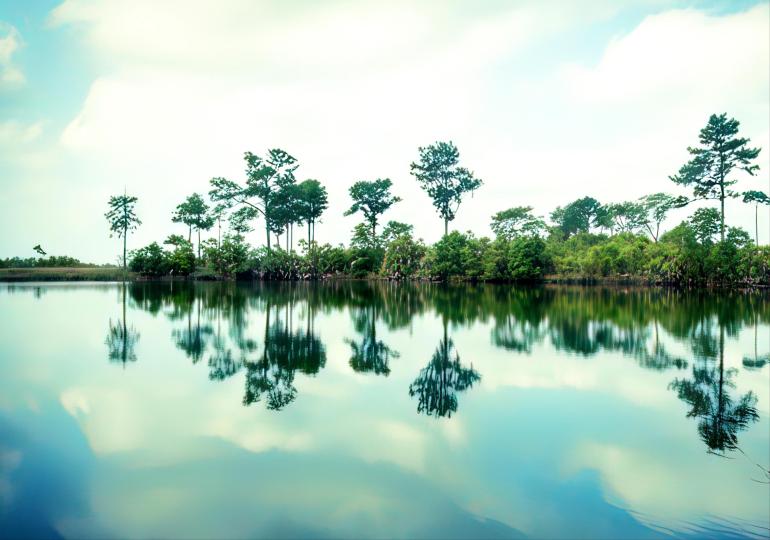60-acre Lagoon Property – Private island in Belize, Central America