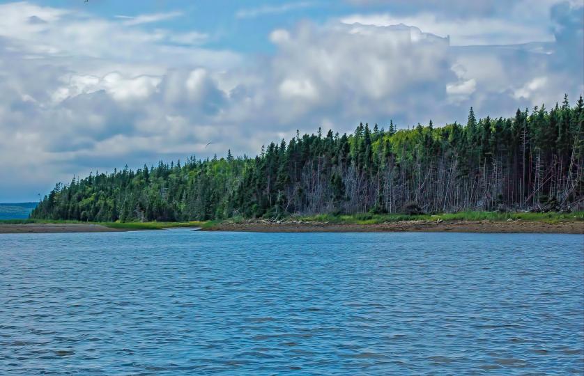Evans Island image
