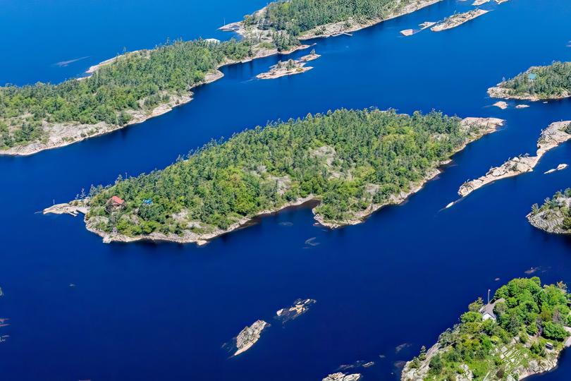 Davis Island image