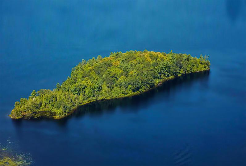 Gus's Island image