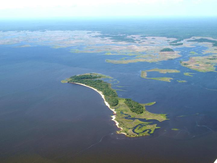Deer Island image