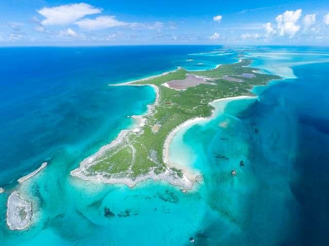 Spectabilis Island image