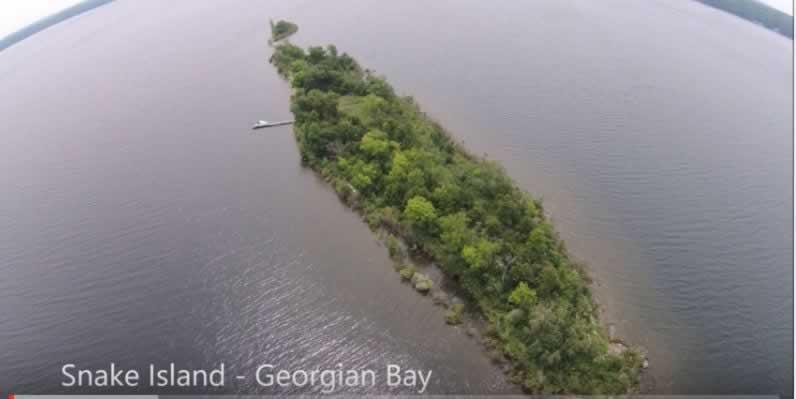 1 Snake Island image