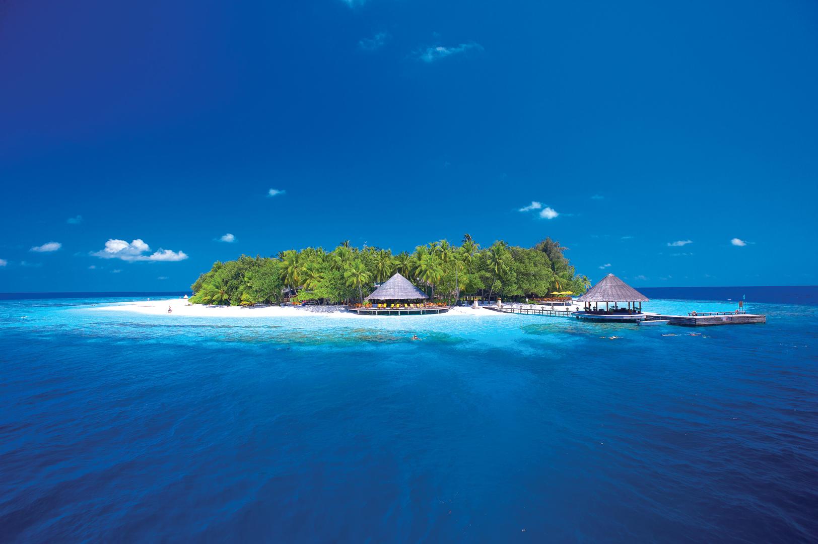 SUBMIT AN ISLAND Backup